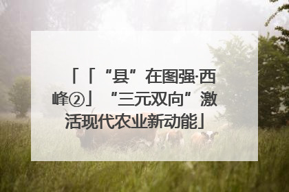 「“县”在图强·西峰②」“三元双向”激活现代农业新动能