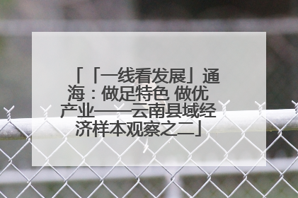 「一线看发展」通海：做足特色 做优产业——云南县域经济样本观察之二