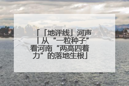 「地评线」河声丨从“一粒种子”看河南“两高四着力”的落地生根