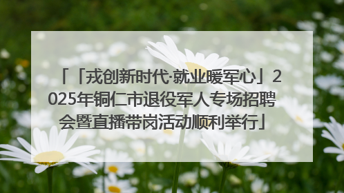 「戎创新时代·就业暖军心」2025年铜仁市退役军人专场招聘会暨直播带岗活动顺利举行