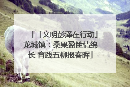 「文明彭泽在行动」龙城镇：桑果盈筐情绵长 育践五柳报春晖