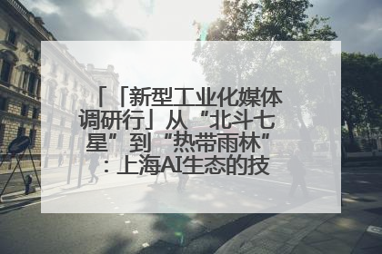「新型工业化媒体调研行」从“北斗七星”到“热带雨林”：上海AI生态的技术商业共生密码