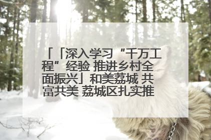 「深入学习“千万工程”经验 推进乡村全面振兴」和美荔城 共富共美 荔城区扎实推进乡村振兴工作
