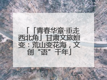 「青春华章·重走西北角」甘肃文旅嬗变：荒山变花海，文创“语”千年