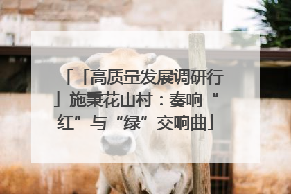 「高质量发展调研行」施秉花山村：奏响“红”与“绿”交响曲
