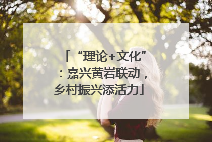 “理论+文化”：嘉兴黄岩联动，乡村振兴添活力