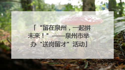 “留在泉州，一起拼未来！”——泉州市举办“送岗留才”活动