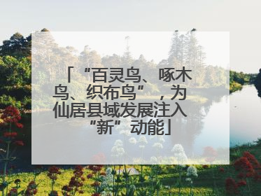 “百灵鸟、啄木鸟、织布鸟”，为仙居县域发展注入“新”动能