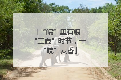 “皖”里有粮｜“三夏”时节，一“皖”麦香
