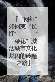 “网红”如何变“长红”——“一朵花”激活城市文化基因的破题之路
