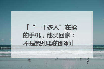 “一千多人”在抢的手机，他买回家：不是我想要的那种