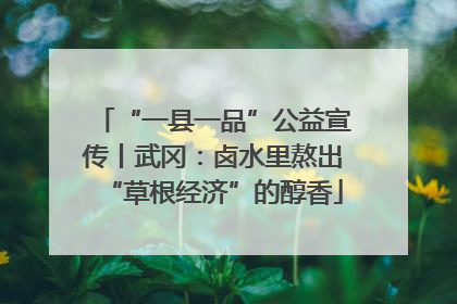 “一县一品”公益宣传丨武冈：卤水里熬出“草根经济”的醇香