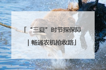 “三夏”时节探保障｜畅通农机抢收路