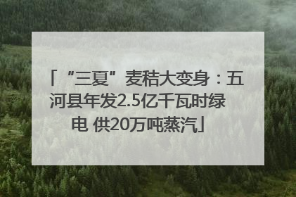 “三夏”麦秸大变身：五河县年发2.5亿千瓦时绿电 供20万吨蒸汽