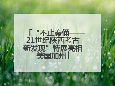 “不止秦俑——21世纪陕西考古新发现”特展亮相美国加州