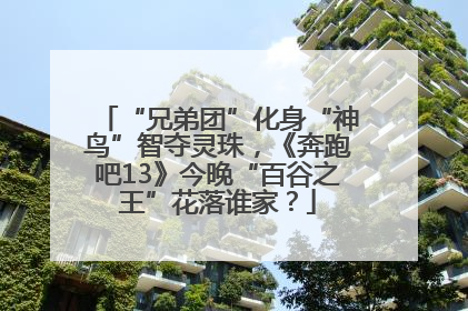 “兄弟团”化身“神鸟”智夺灵珠，《奔跑吧13》今晚“百谷之王”花落谁家？