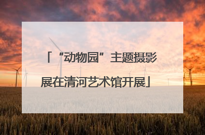 “动物园”主题摄影展在清河艺术馆开展