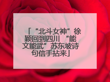 “北斗女神”徐颖回到四川 “能文能武”苏东坡诗句信手拈来