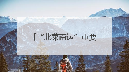 “北菜南运”重要中转枢纽 辽宁新民市打造东北最大产地蔬菜交易中心