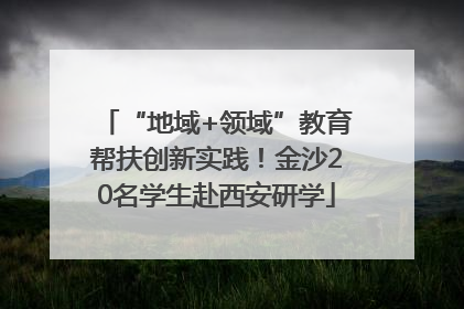 “地域+领域”教育帮扶创新实践！金沙20名学生赴西安研学