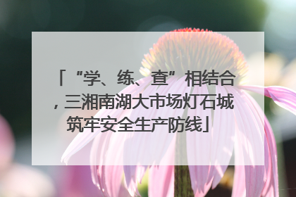 “学、练、查”相结合，三湘南湖大市场灯石城筑牢安全生产防线