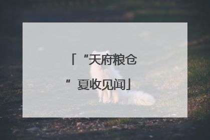“天府粮仓”夏收见闻