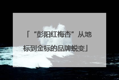 “彭阳红梅杏”从地标到金标的品牌蜕变