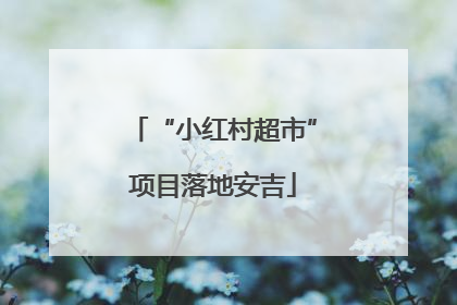 “小红村超市”项目落地安吉