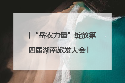 “岳农力量”绽放第四届湖南旅发大会