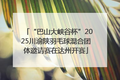 “巴山大峡谷杯”2025川渝陕羽毛球混合团体邀请赛在达州开赛