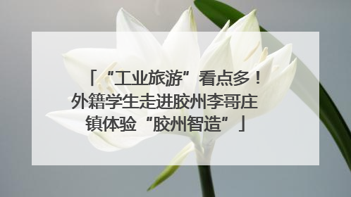 “工业旅游”看点多！外籍学生走进胶州李哥庄镇体验“胶州智造”