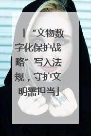 “文物数字化保护战略”写入法规，守护文明需担当