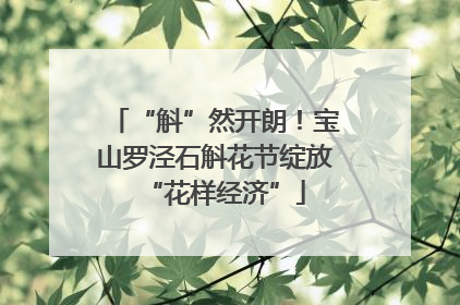 “斛”然开朗！宝山罗泾石斛花节绽放“花样经济”