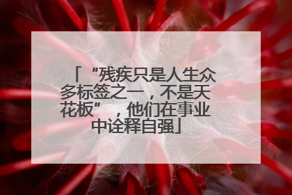 “残疾只是人生众多标签之一，不是天花板”，他们在事业中诠释自强