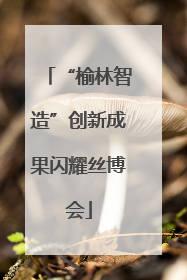 “榆林智造”创新成果闪耀丝博会
