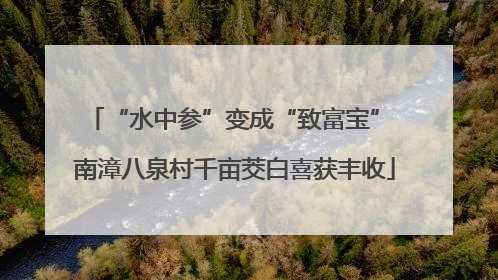 “水中参”变成“致富宝” 南漳八泉村千亩茭白喜获丰收