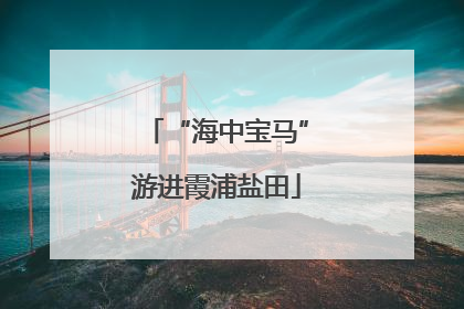 “海中宝马”游进霞浦盐田