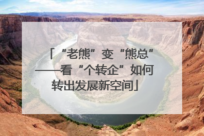 “老熊”变“熊总”——看“个转企”如何转出发展新空间