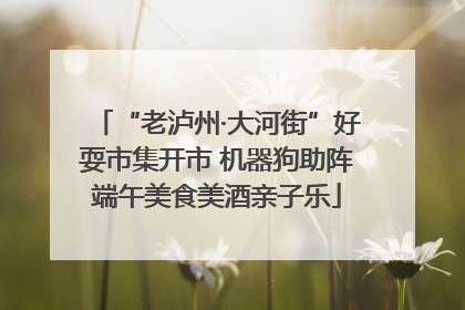 “老泸州·大河街”好耍市集开市 机器狗助阵端午美食美酒亲子乐