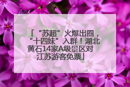 “苏超”火爆出圈，“十四妹”入群！湖北黄石14家A级景区对江苏游客免票