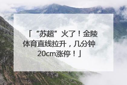 “苏超”火了！金陵体育直线拉升，几分钟20cm涨停！