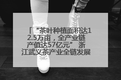 “茶叶种植面积达12.5万亩，全产业链产值达57亿元” 浙江武义茶产业全链发展“加速度”