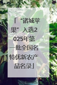 “诸城苹果”入选2025年第一批全国名特优新农产品名录