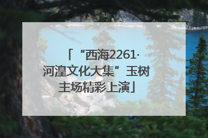 “西海2261·河湟文化大集”玉树主场精彩上演