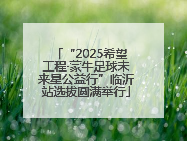 “2025希望工程·蒙牛足球未来星公益行”临沂站选拔圆满举行