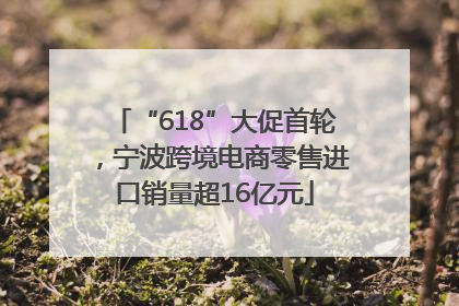“618”大促首轮，宁波跨境电商零售进口销量超16亿元