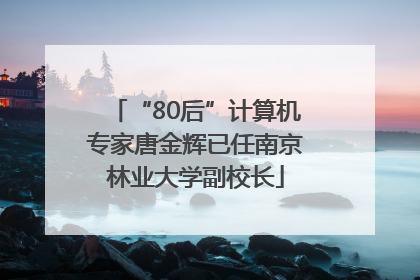 “80后”计算机专家唐金辉已任南京林业大学副校长