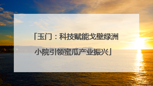 玉门：科技赋能戈壁绿洲 小院引领蜜瓜产业振兴