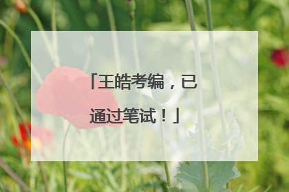王皓考编，已通过笔试！