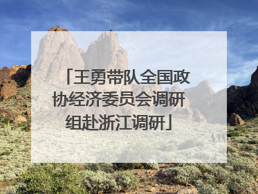 王勇带队全国政协经济委员会调研组赴浙江调研